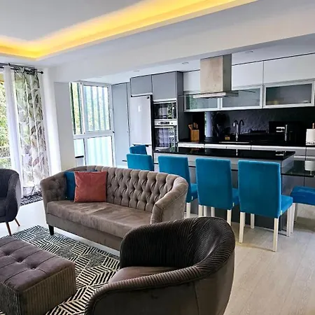 Hdfm Collection - Centro *